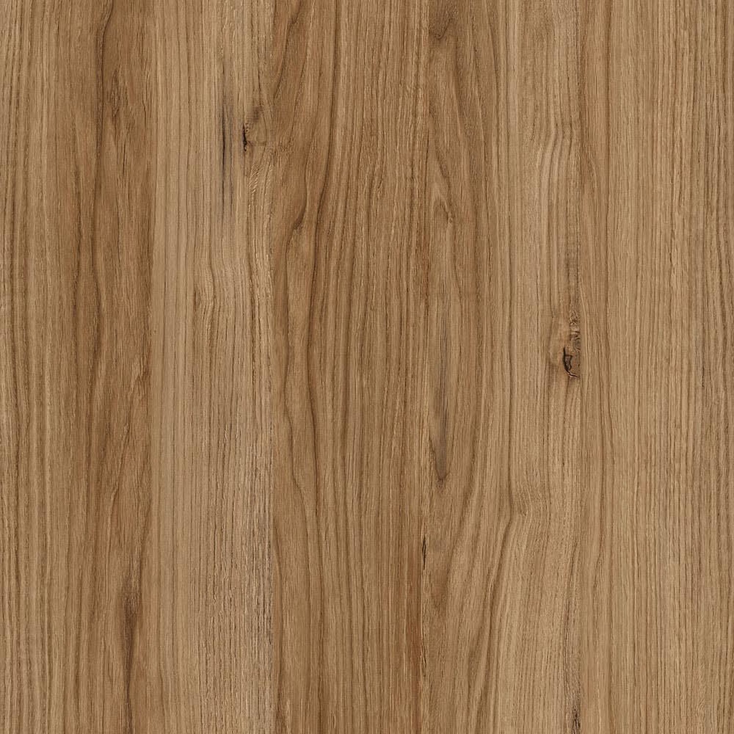 Catania Oak