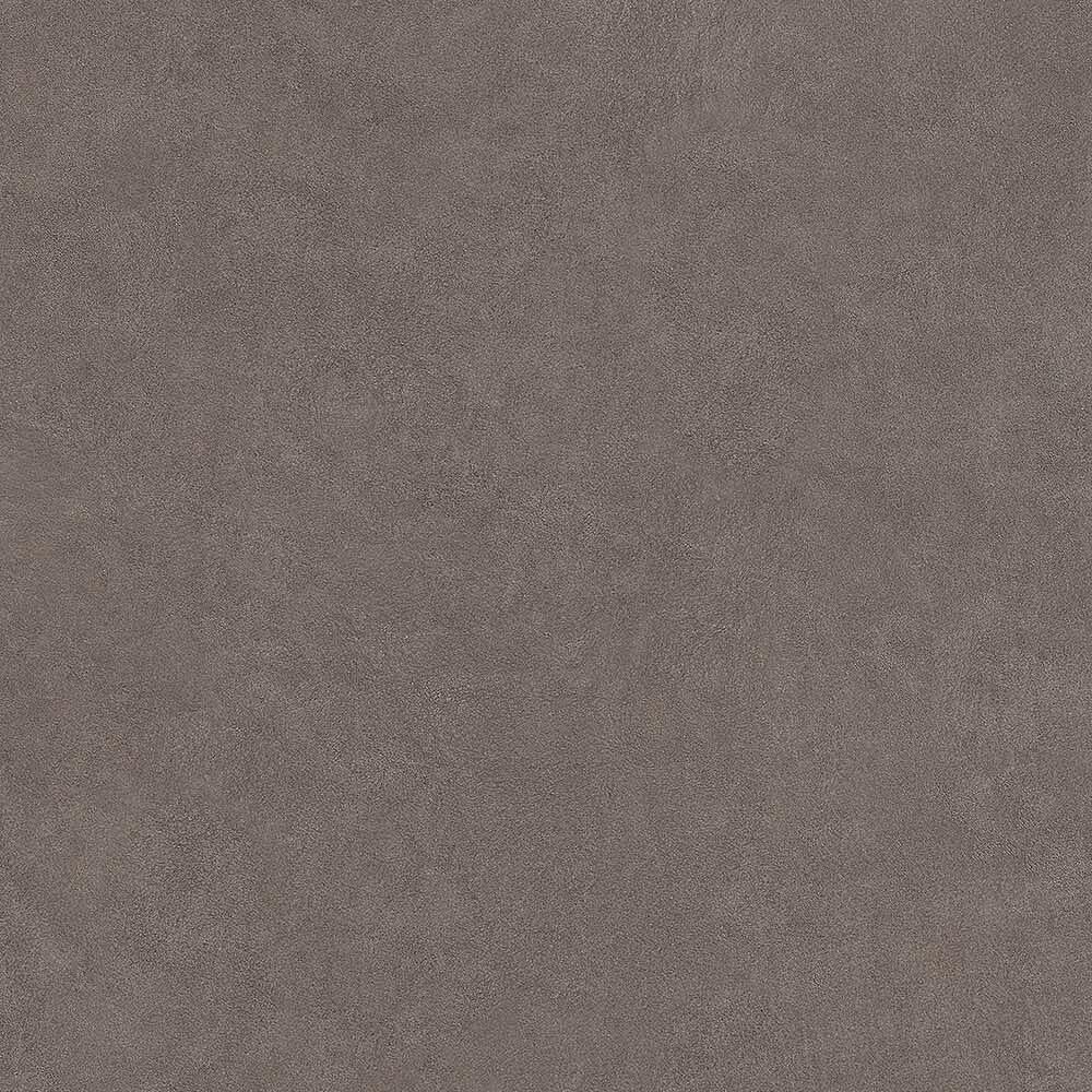 54251