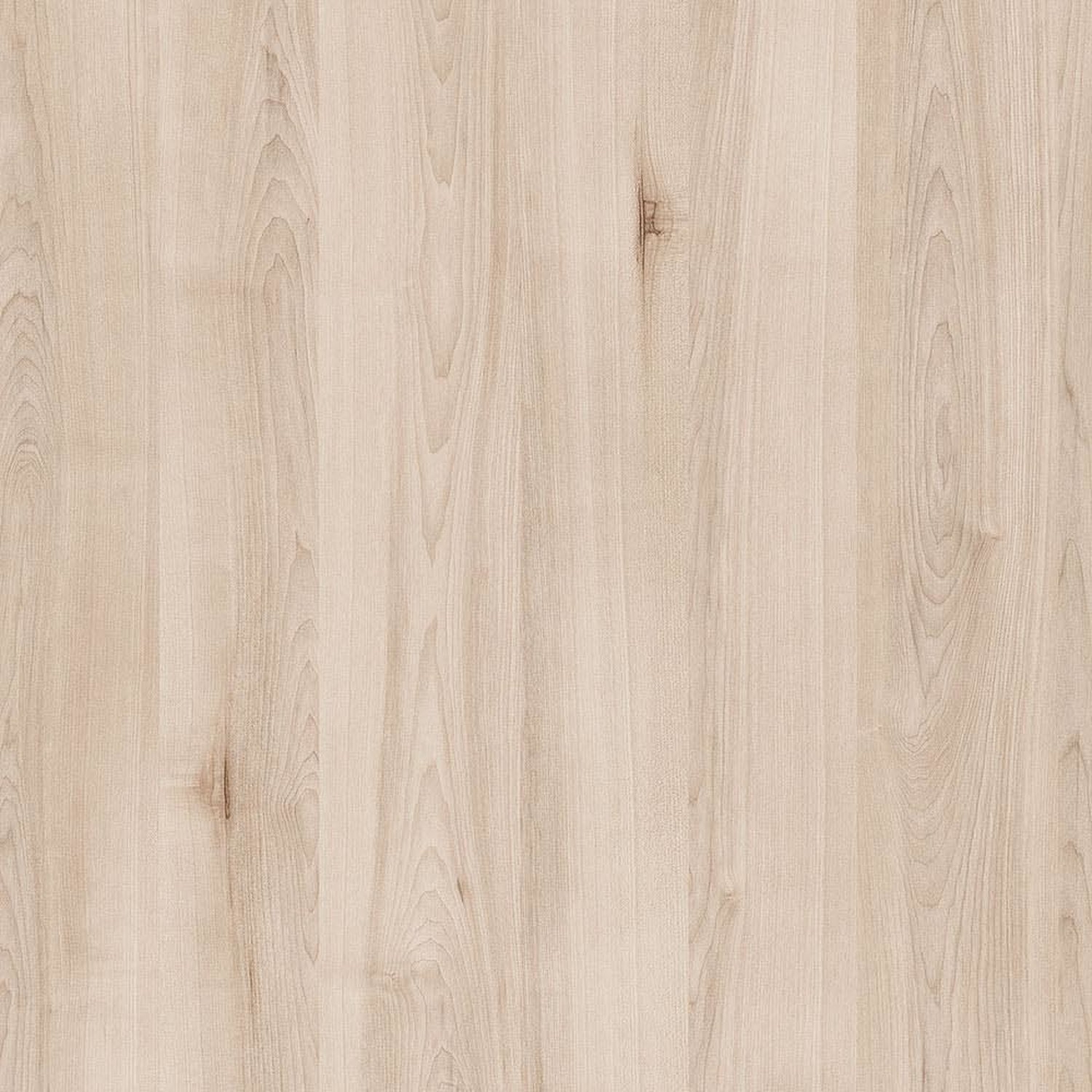 Acadia Maple