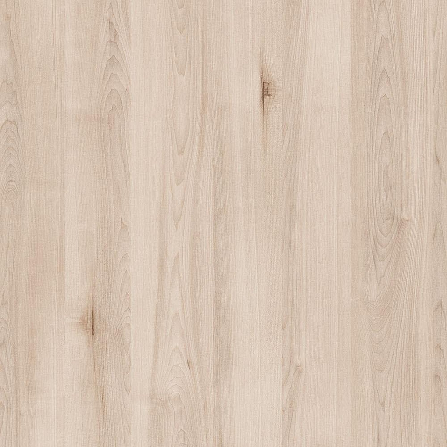 Acadia Maple