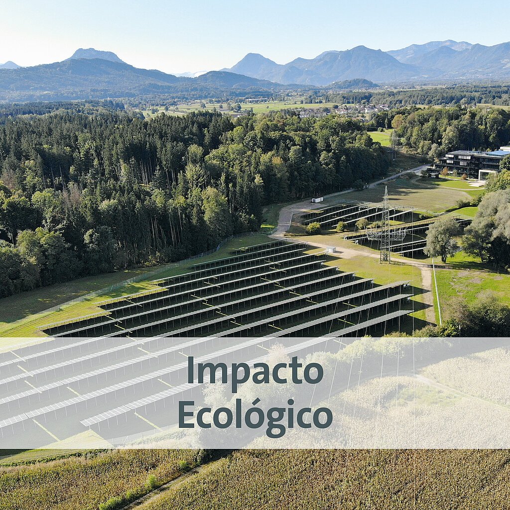 Ecological impact