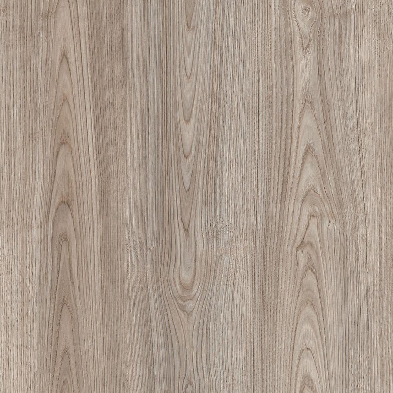 Canyon Authentic Chestnut