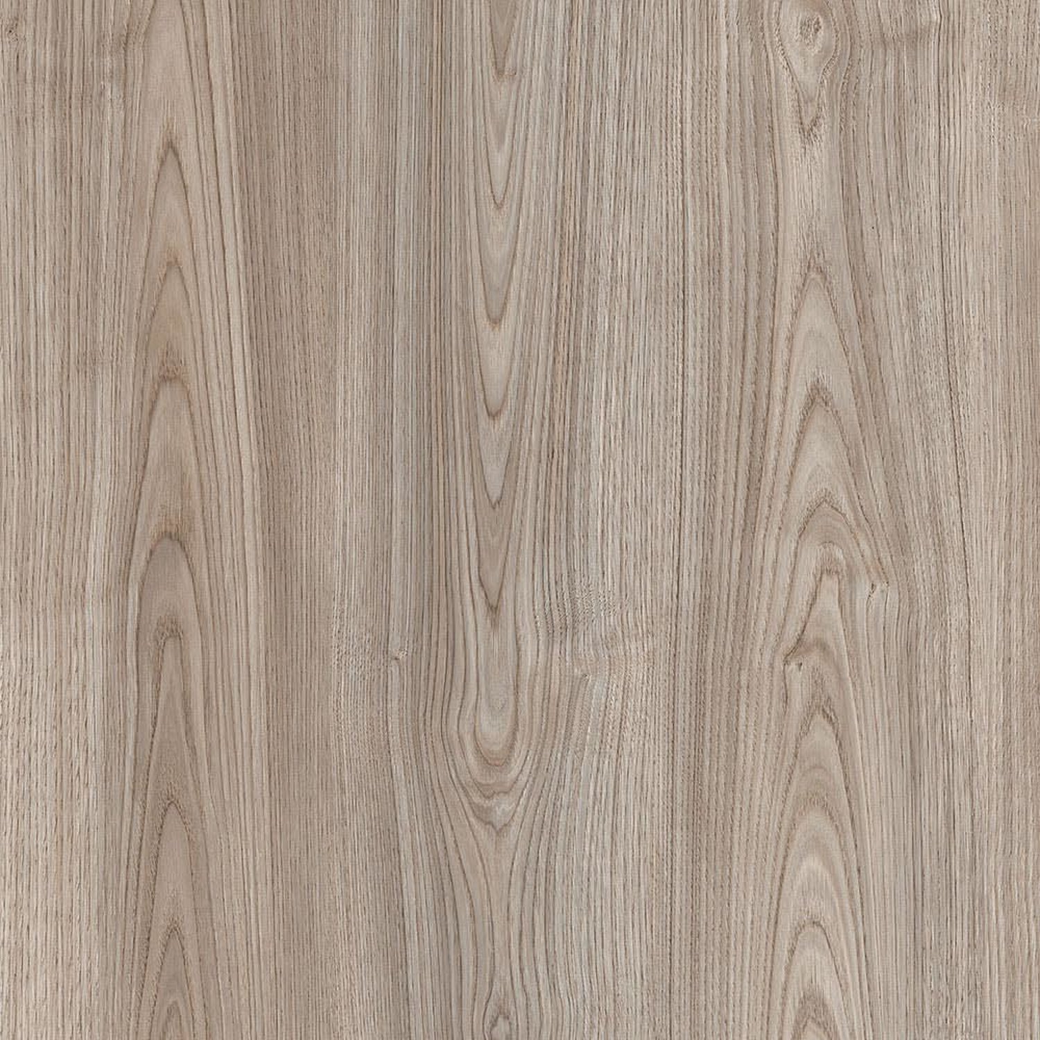 Canyon Authentic Chestnut