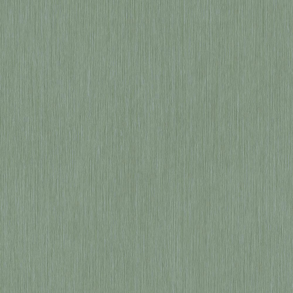 50081