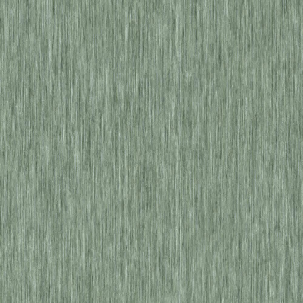 50081 50081