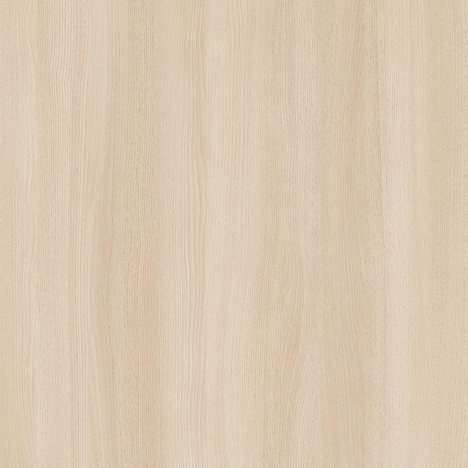 Mont Blanc Chestnut