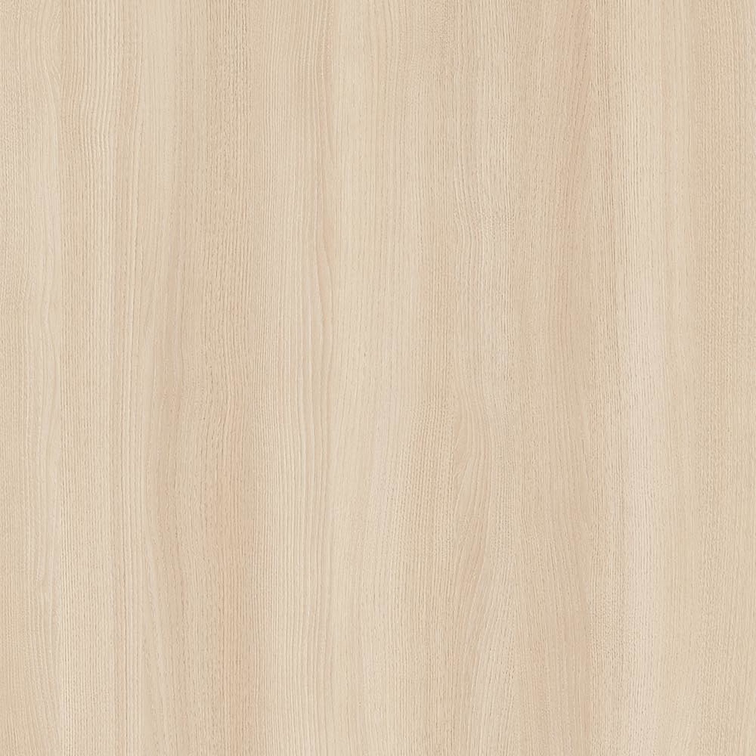 Mont Blanc Chestnut