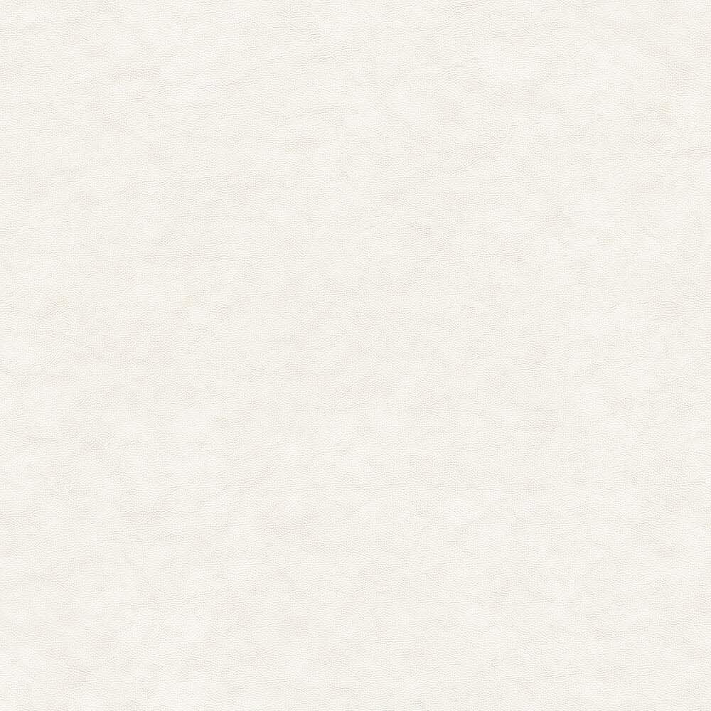 54046