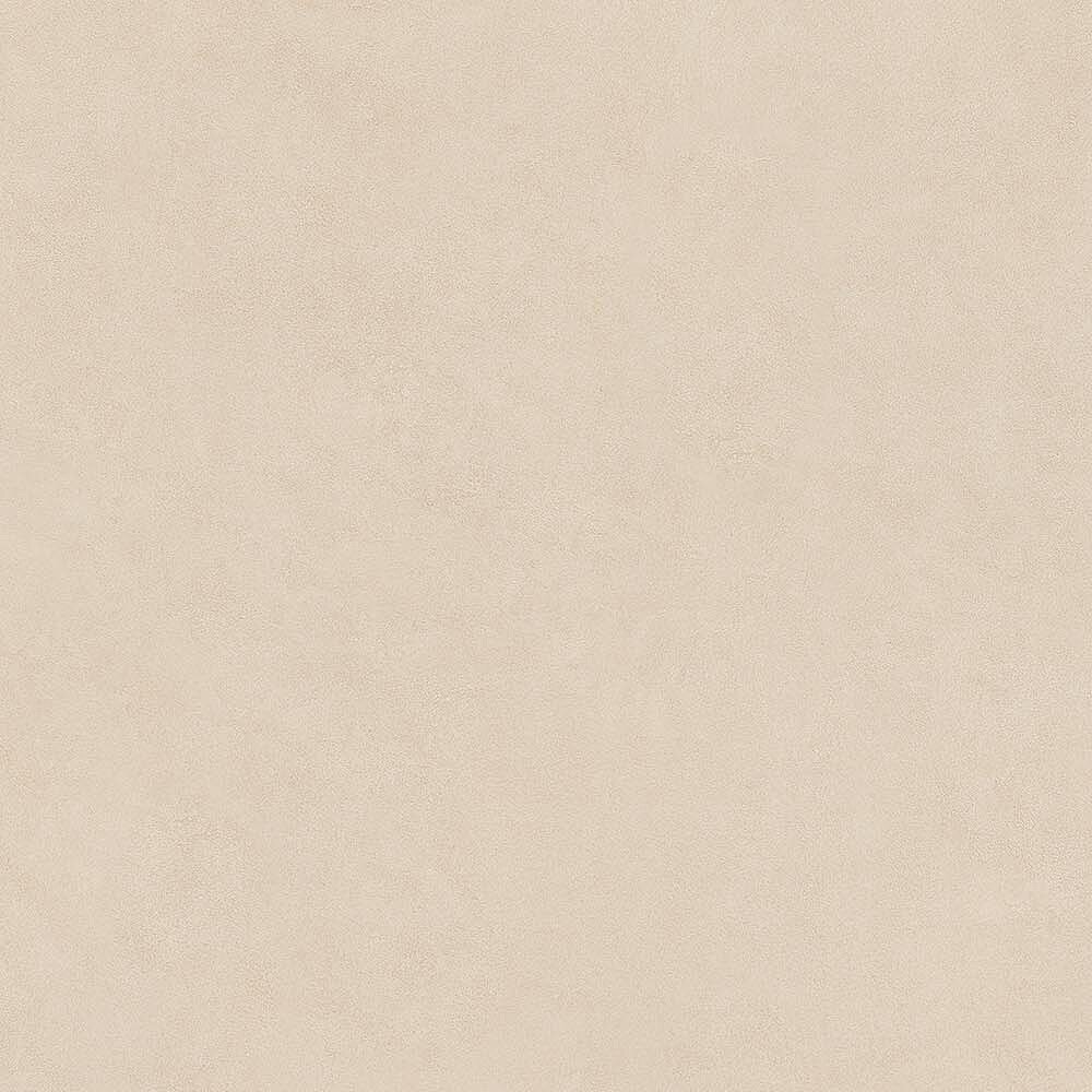 54251