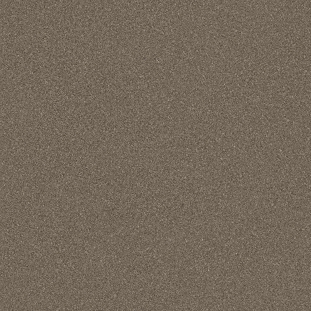 25020