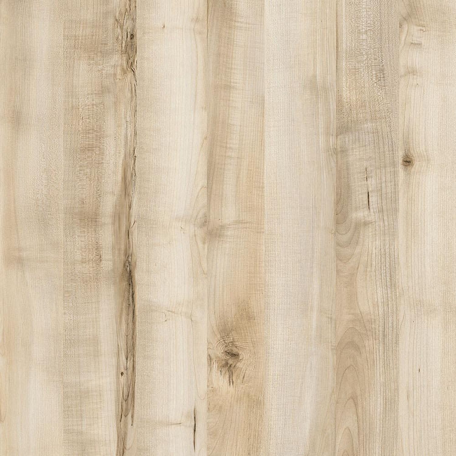 Newport Maple
