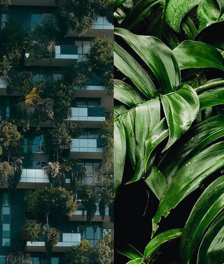 Header.jpg