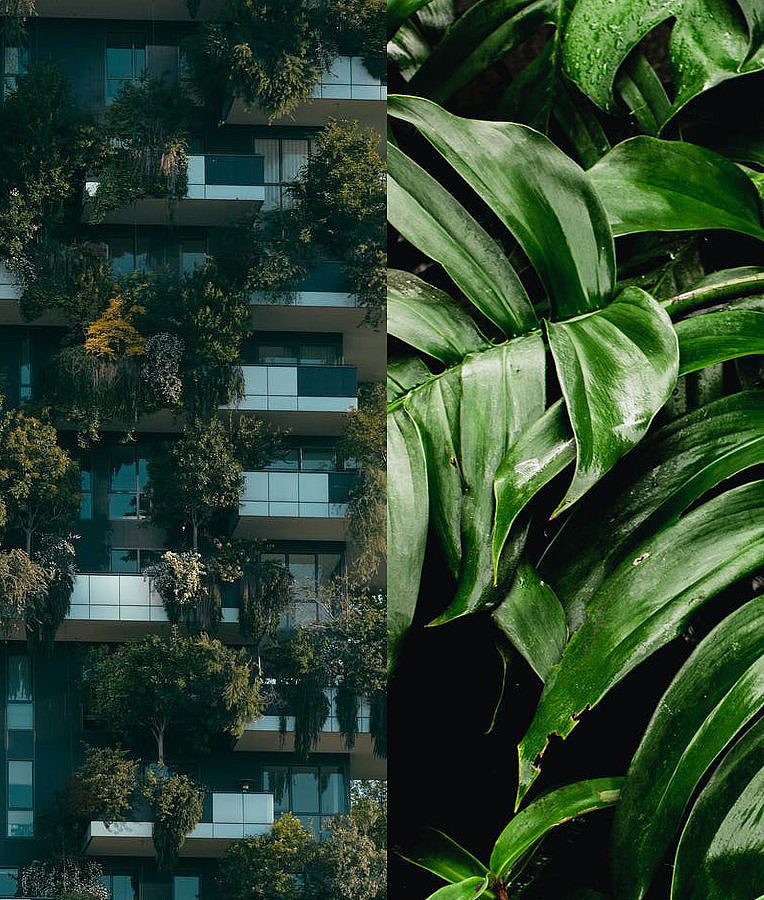 Header.jpg