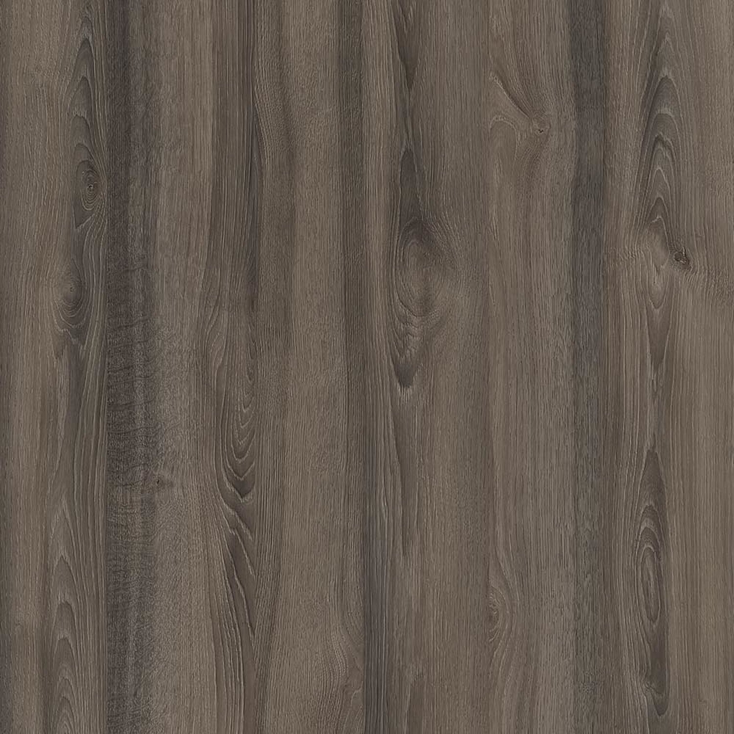 Pinerolo Oak