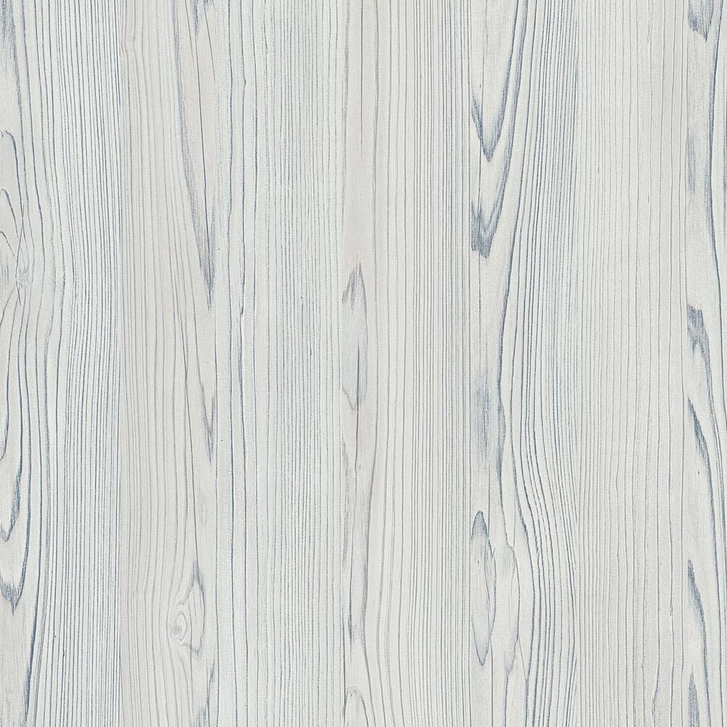 Frost Pine