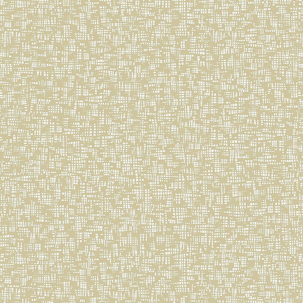 56045