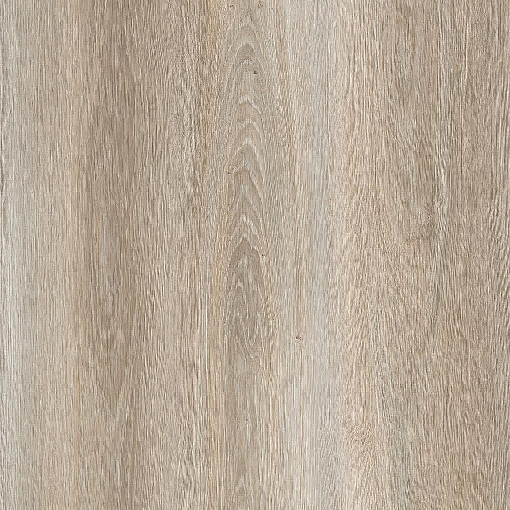 夏特 | Canyon Polar Oak