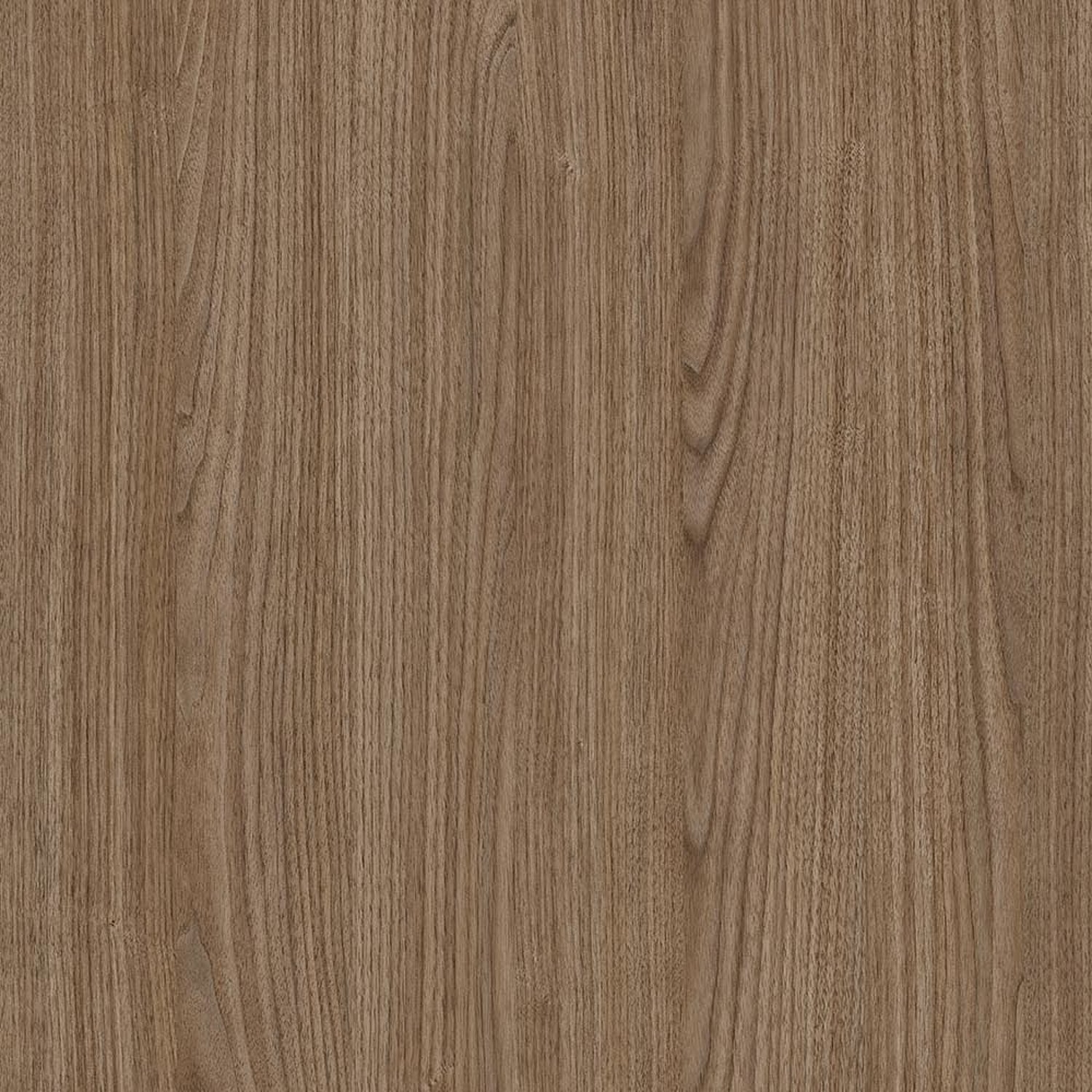 Durban Walnut