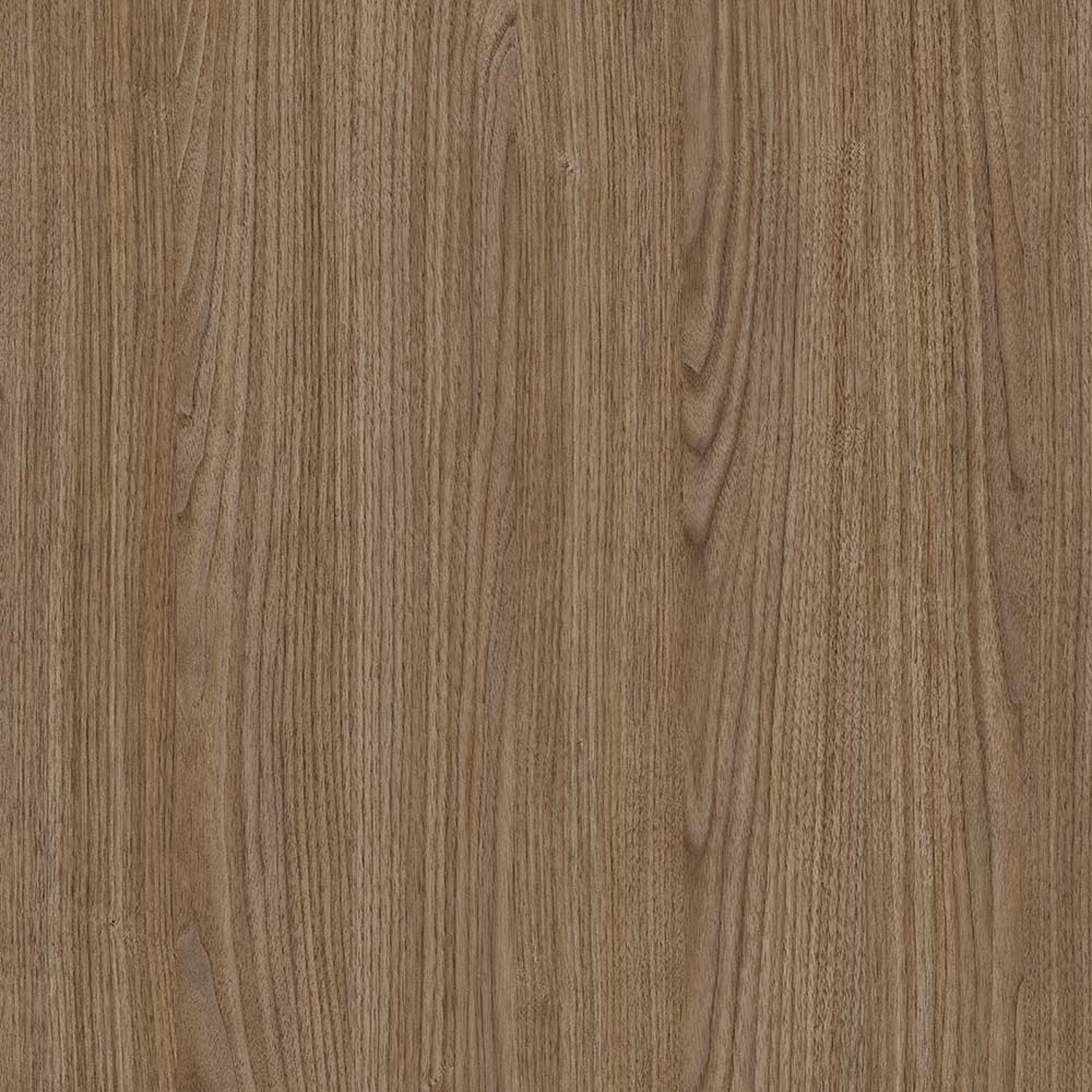 Durban Walnut
