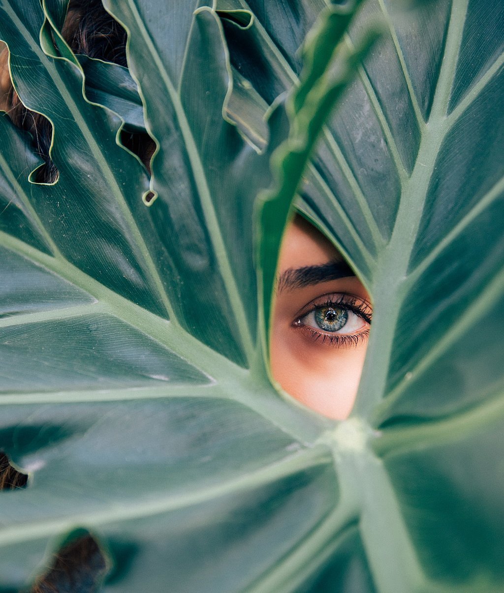 Header2.jpg