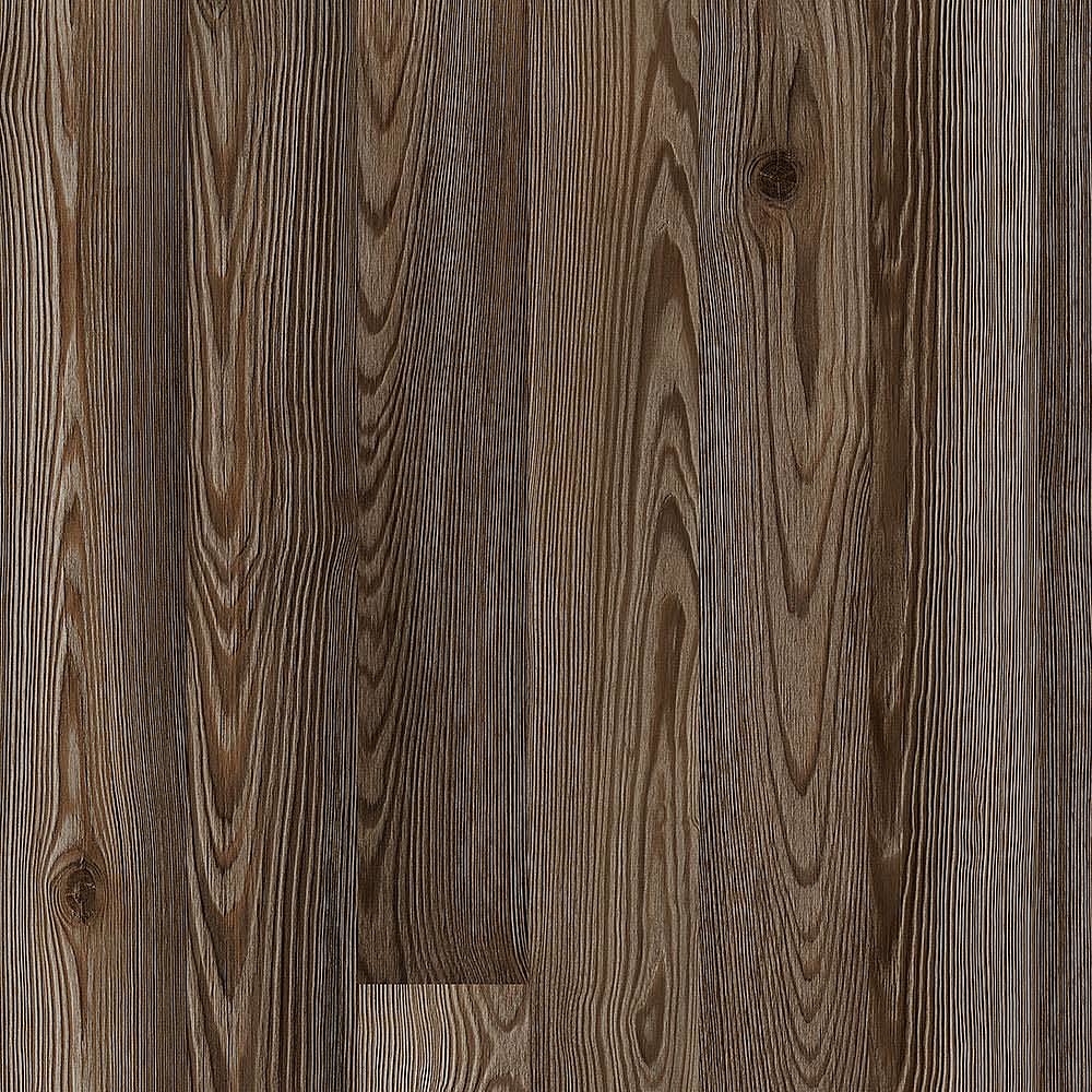 02604