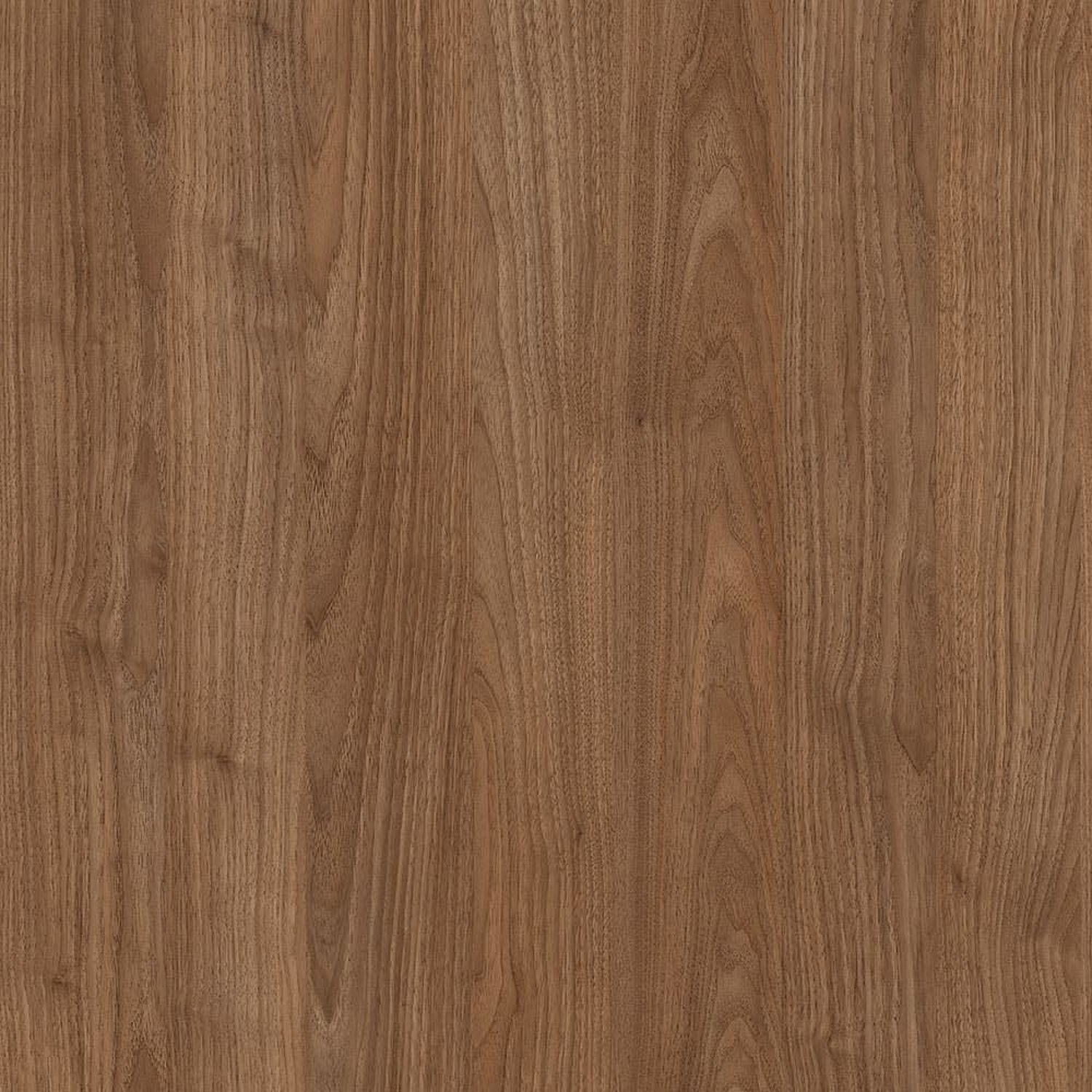 Wisconsin Walnut