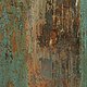 14-54116-001