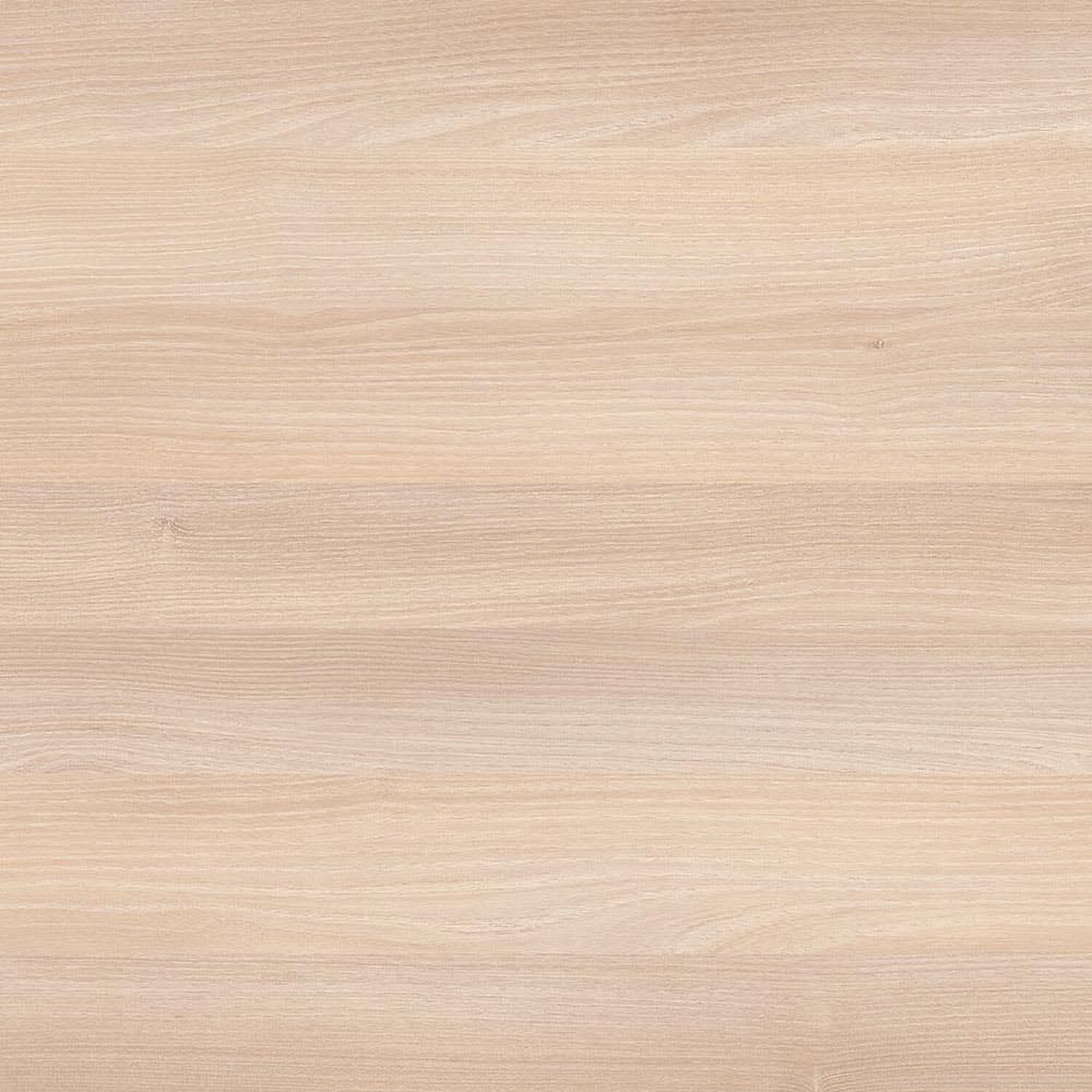 Acacia Moldau traverso