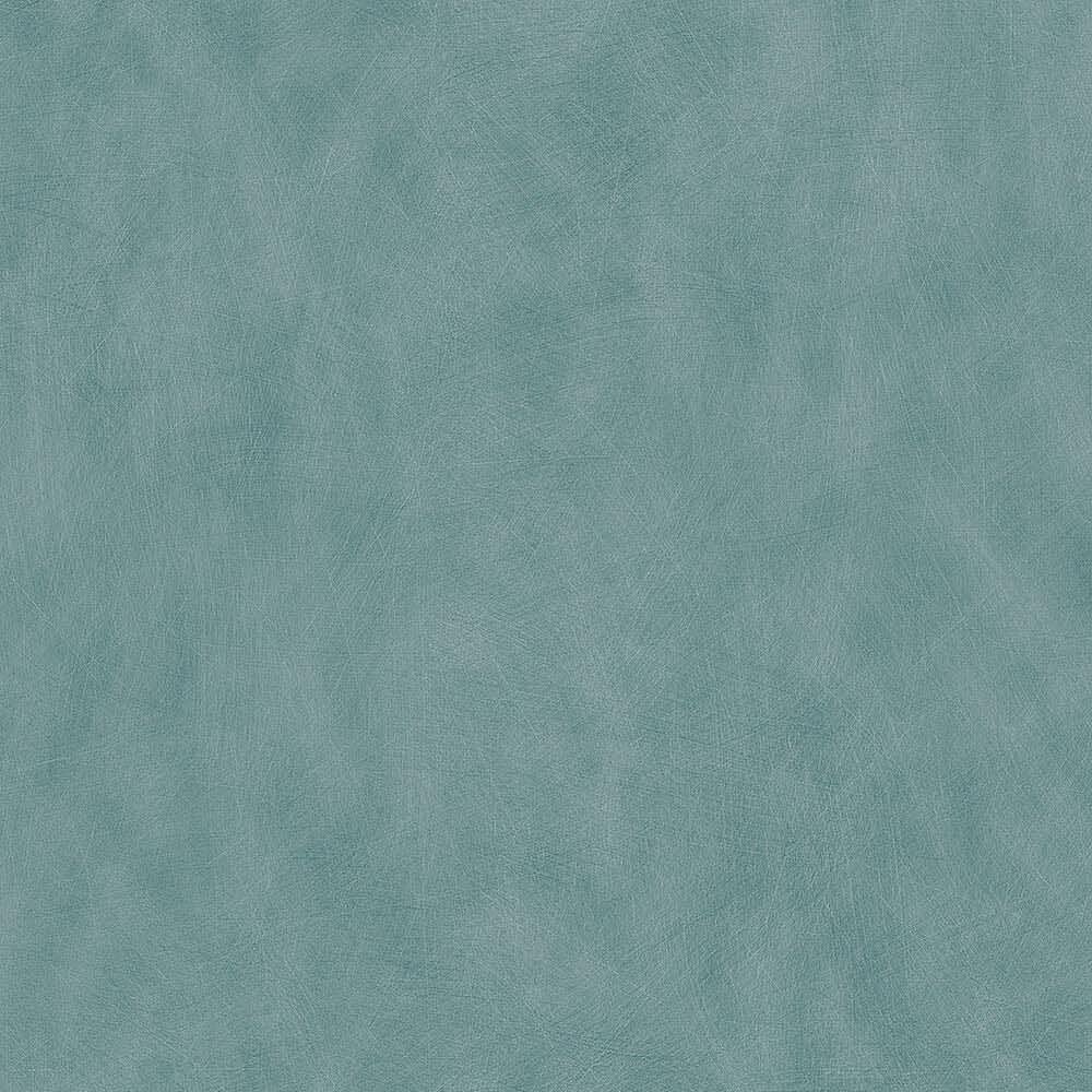 50079