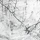 4000311-23-000