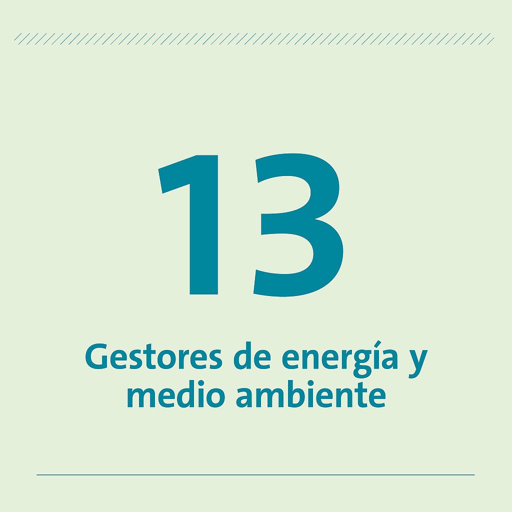 13 Gestores de energía y medio ambiente 13 Gestores de energía y medio ambiente