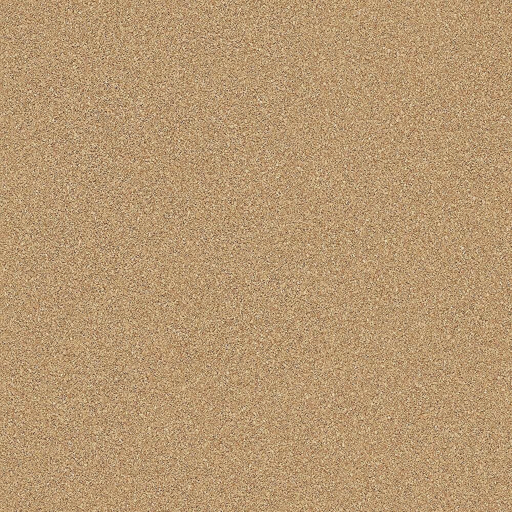 25020