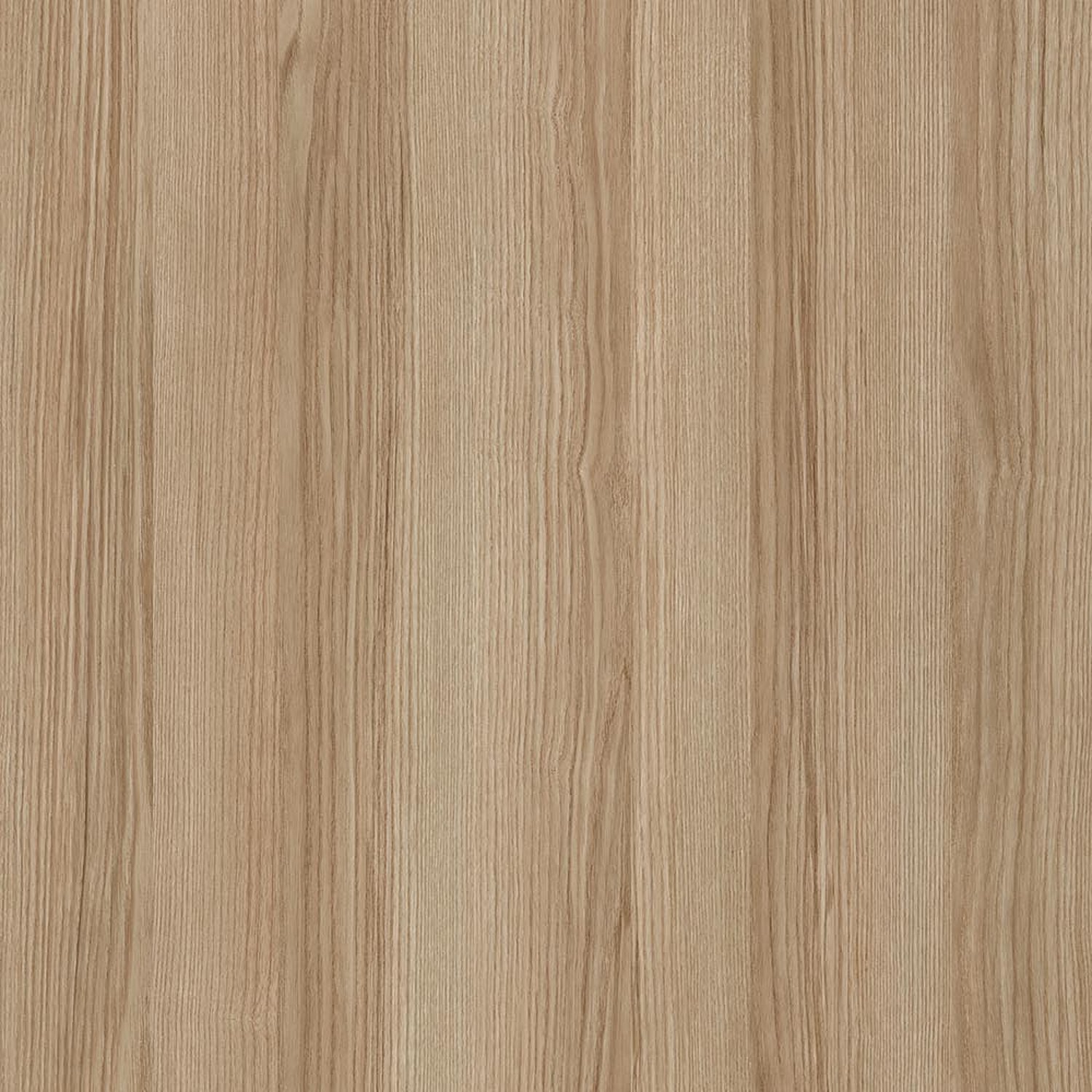 Alassio Ash