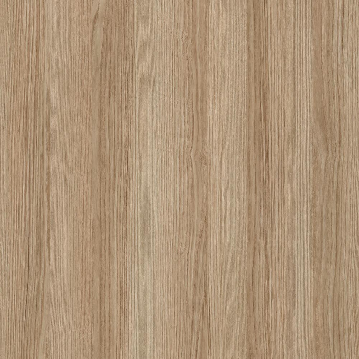 Alassio Ash
