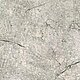 14-54057-004