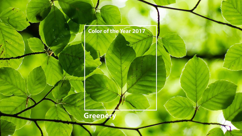 Color trend Green Color trend Green