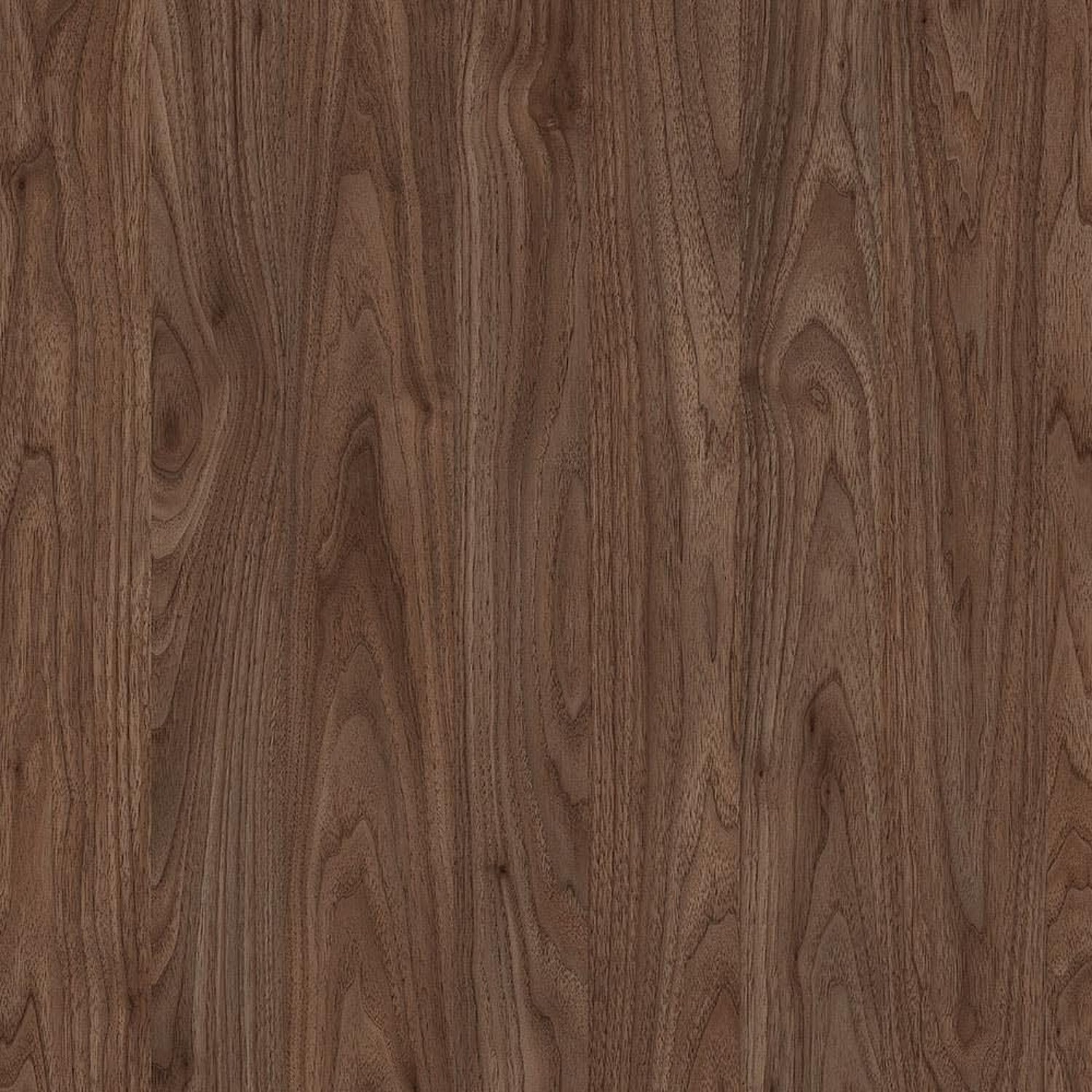 Springfield Walnut