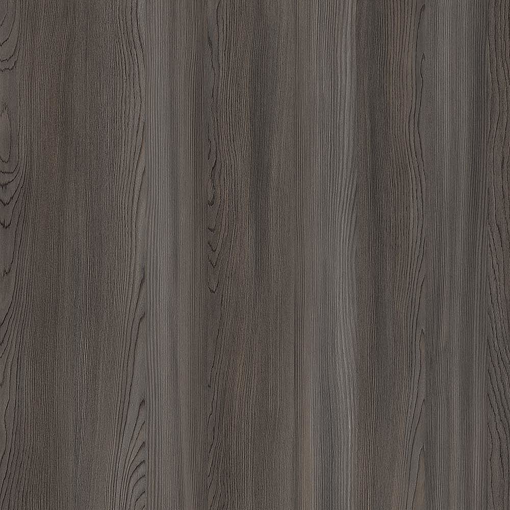 Schattdecor | Stone Pine