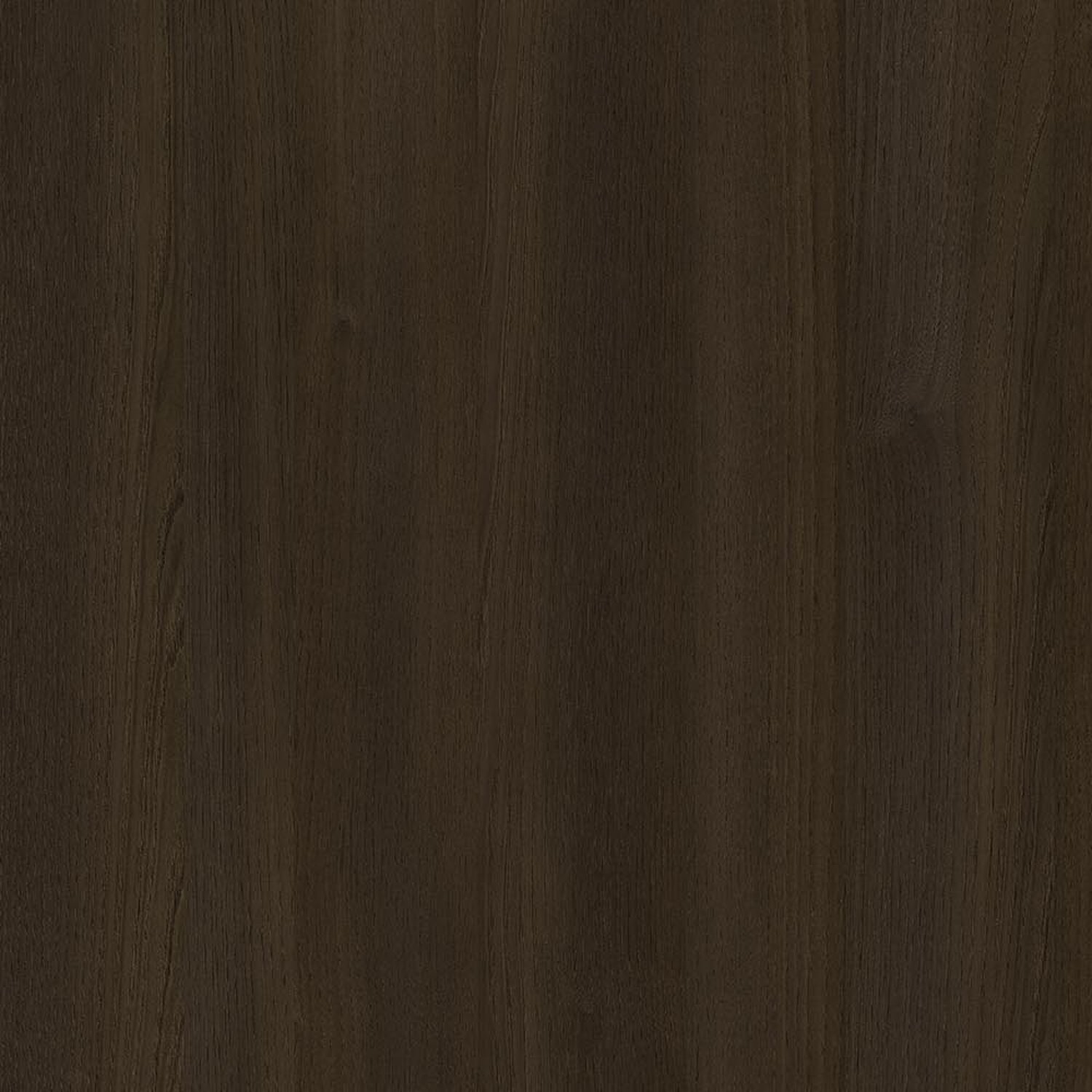 Arona Chestnut