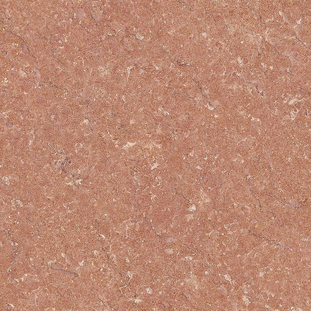 54051
