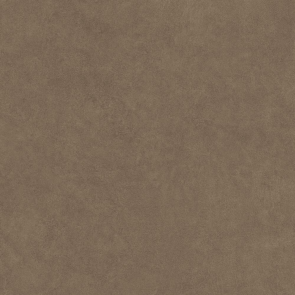 54251