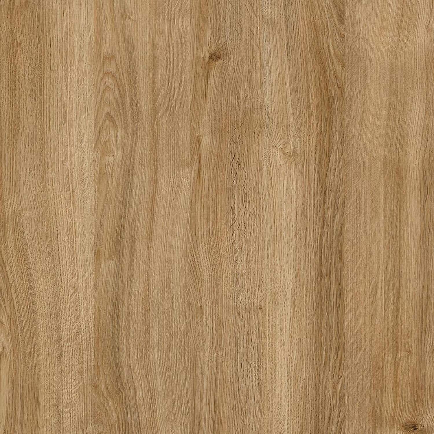 Дуб Карлстад