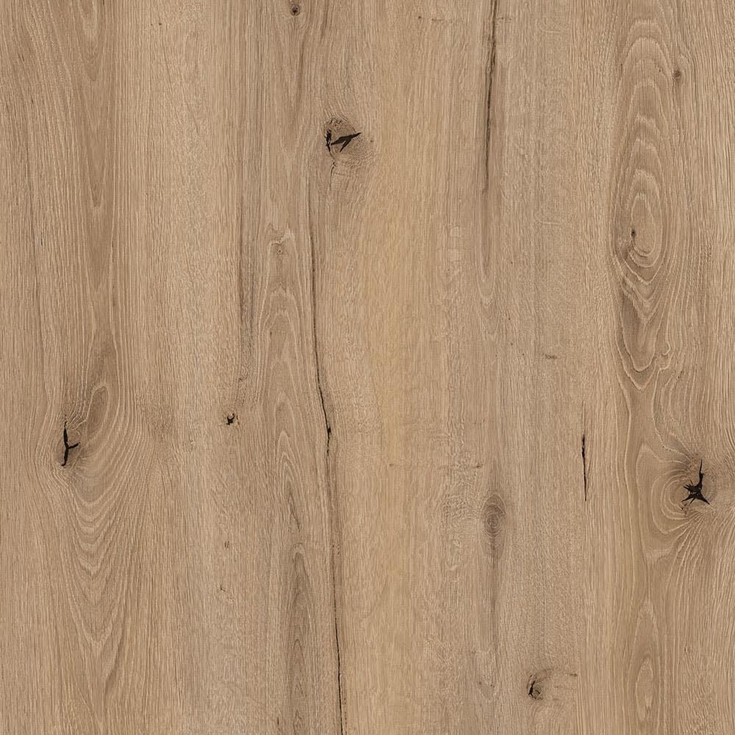 Taurus Oak