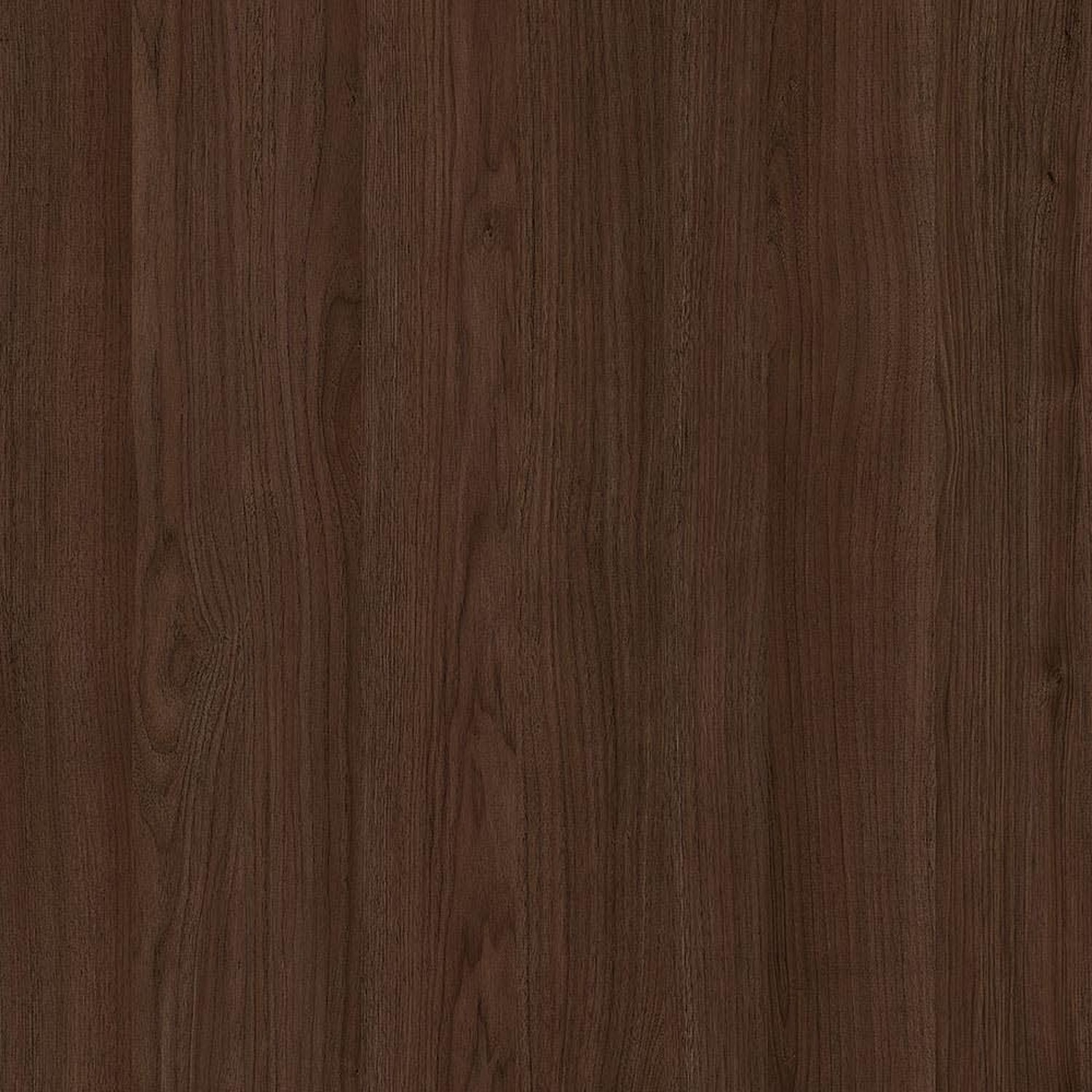 Minnesota Walnut