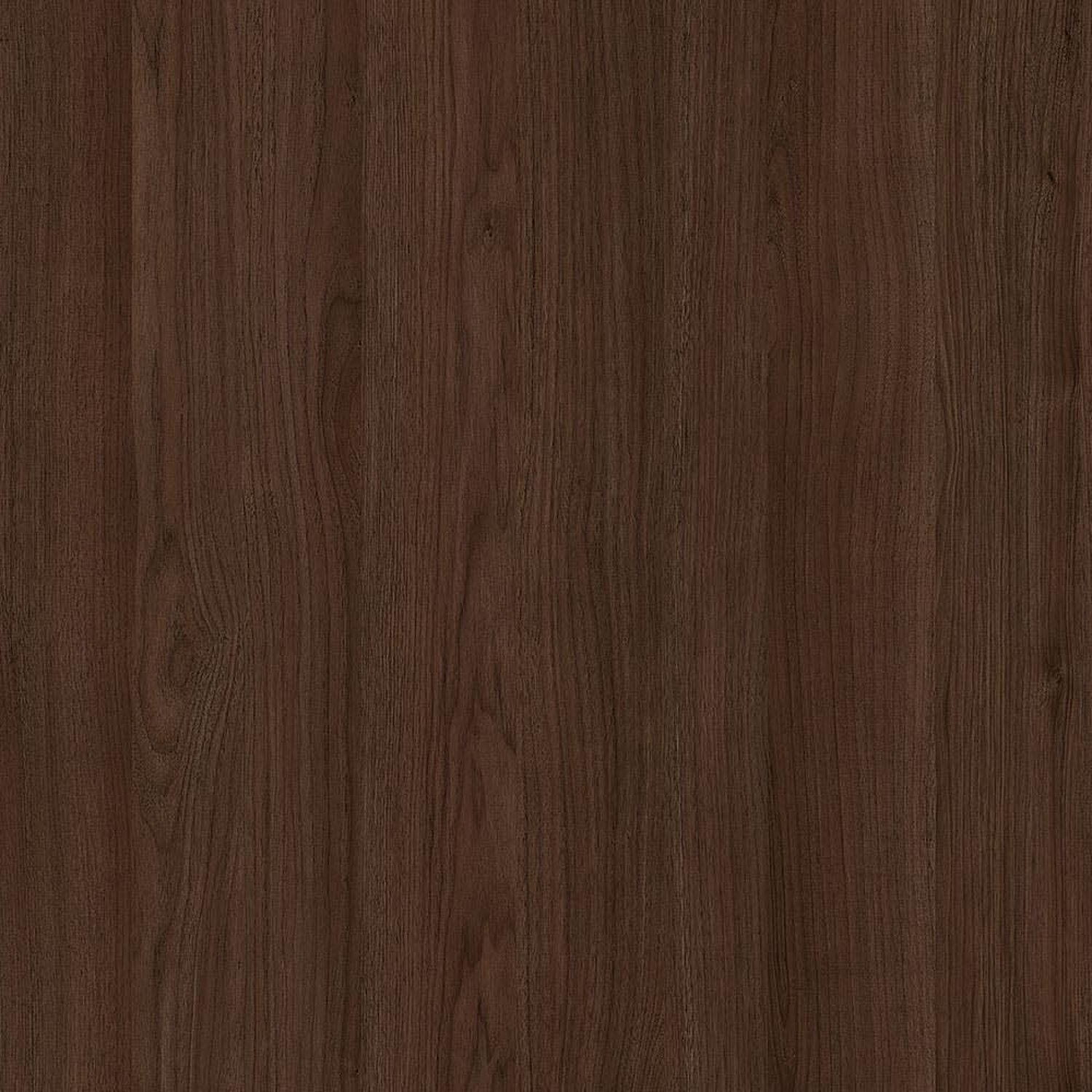 Minnesota Walnut