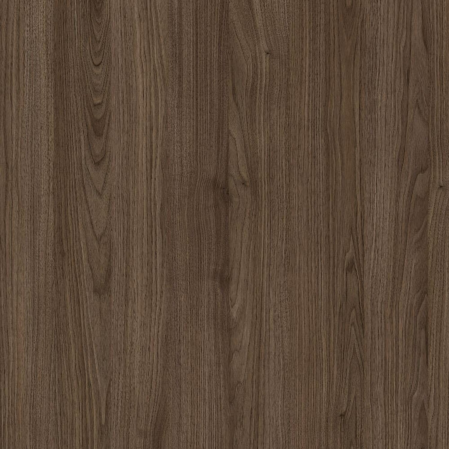 Cincinnati Walnut