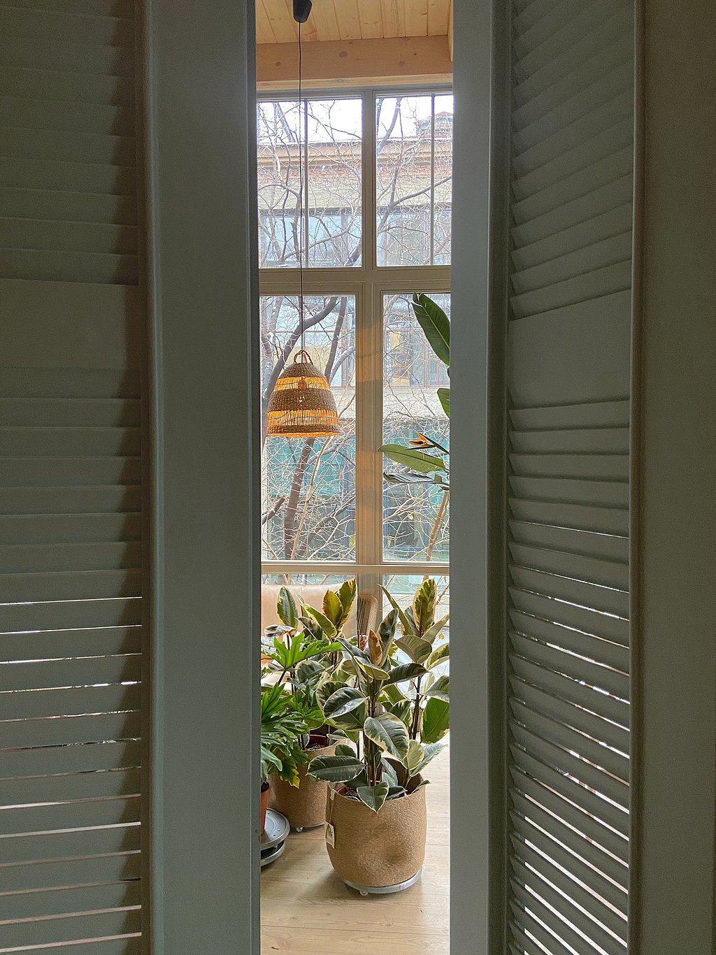 Green conquers the home