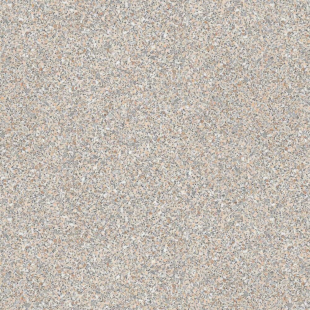 54009