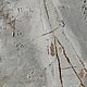 4000302-06-000