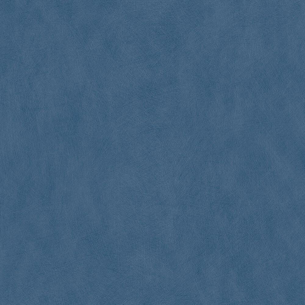 50079